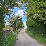 New! Mains Lane Barn - Peaceful Countryside Stay Dom wakacyjny